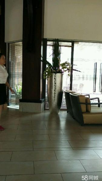 小區(qū)環(huán)境不錯(cuò),經(jīng)典小戶(hù)型2室2廳1000元每月