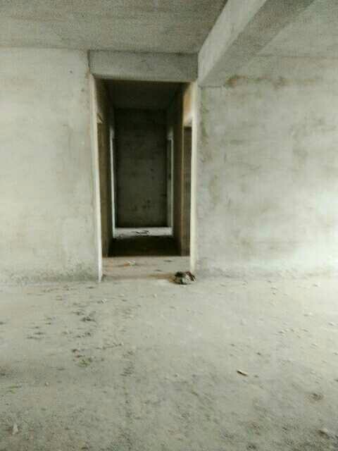 肖家小灣四室二廳二衛(wèi)大戶型低價(jià)急售！