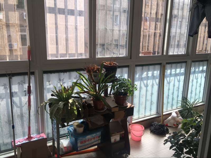 (出售)孝南泰阳城3室2厅1卫110平米