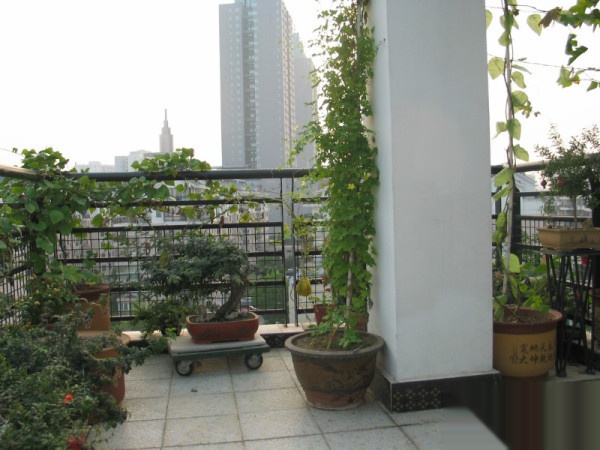 ------蔚藍(lán)新都復(fù)式樓招租