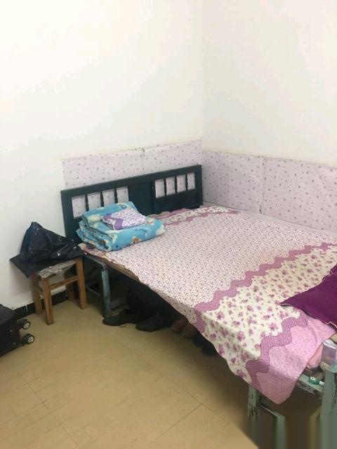 ----文化路中百胡家墩子2室1廳1衛(wèi)600元(個人)