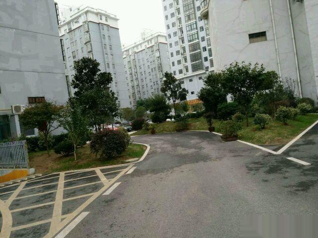 -----民邦熙公馆住房急售精装修3室2厅2卫120㎡79万