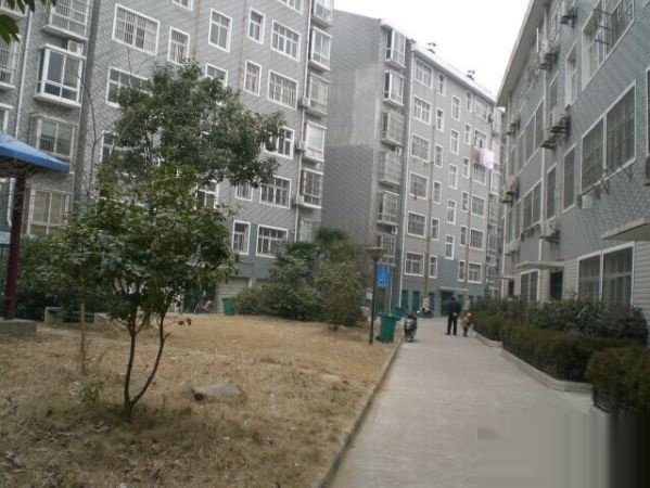 -----文化路中百仓储商圈民生嘉园