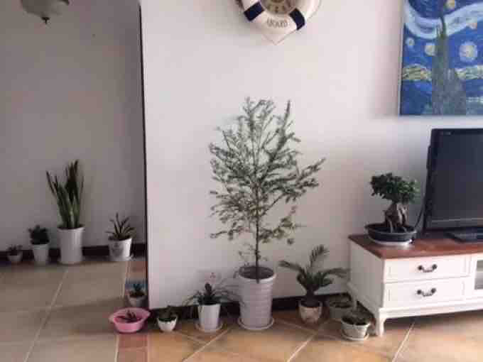 福星城三期精装 房出售