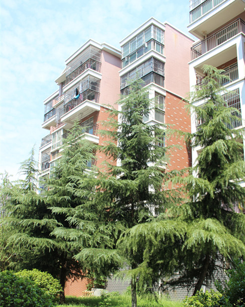 錦繡后湖 兩室 6/7樓 89.6平 兩證滿(mǎn)2年 毛坯36萬(wàn) 有圖