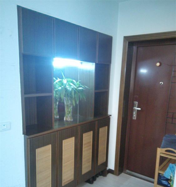 全身心漫步在一片阳光之中闲适氛围随意流露