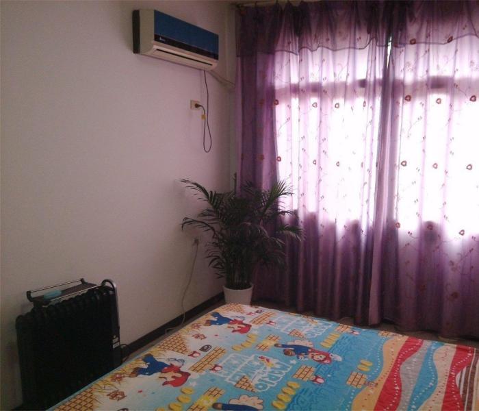 全身心漫步在一片阳光之中闲适氛围随意流露