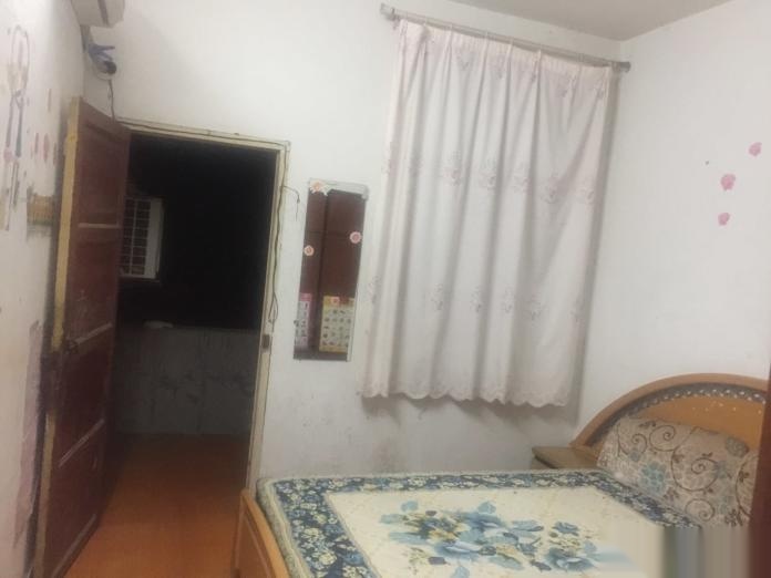 ---------文化路中段付沖社區(qū)一室一廳帶陽(yáng)臺(tái)1室1廳