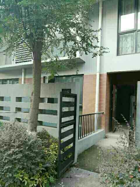 銅雀臺別墅，城鐵東站，自家小院，低價出售