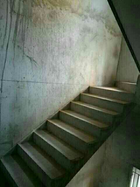 銅雀臺別墅，城鐵東站，自家小院，低價出售