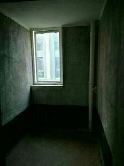 銅雀臺別墅，城鐵東站，自家小院，低價出售