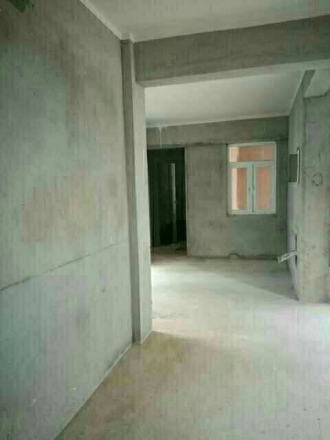 銅雀臺別墅，城鐵東站，自家小院，低價出售