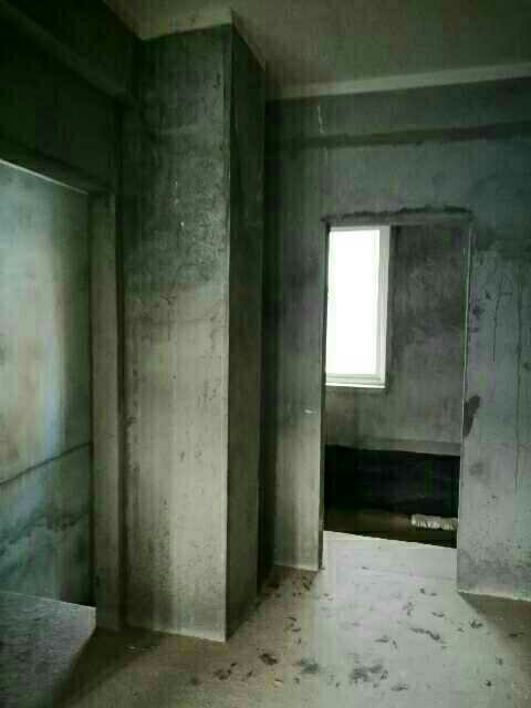 銅雀臺別墅，城鐵東站，自家小院，低價出售