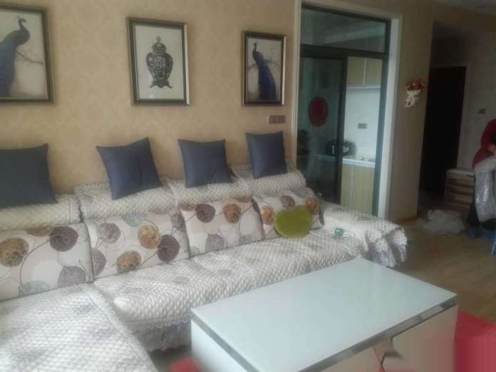 _____星河天街頂配品質(zhì),直接入住,--星河天街(個人)