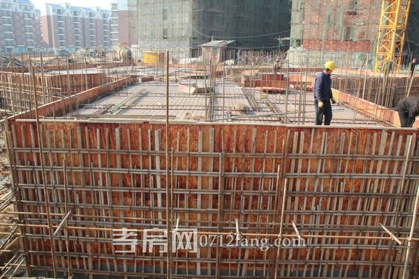 金张湾花园12月份项目进度