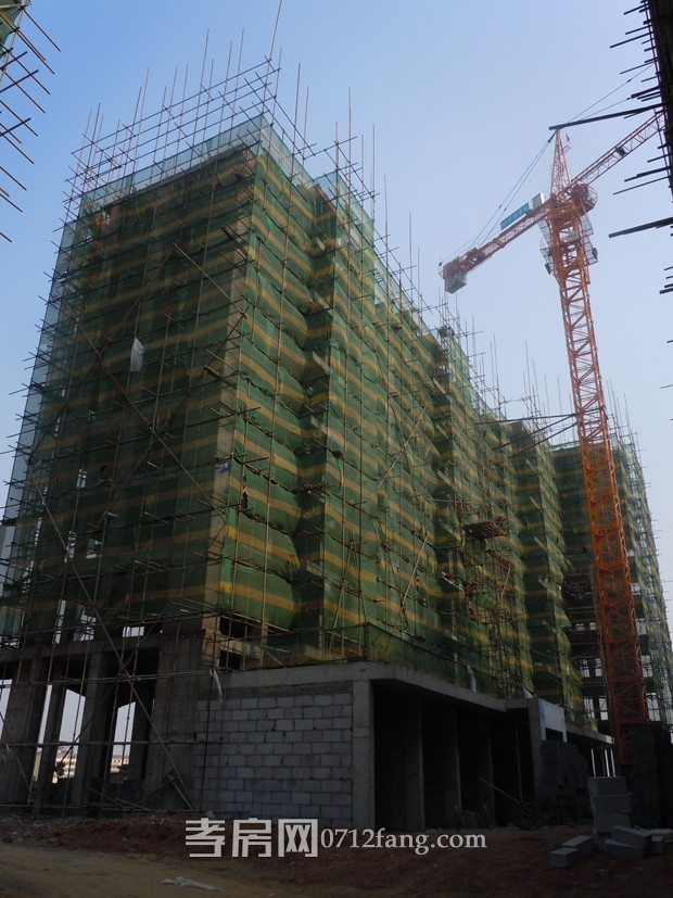 景程·湾流汇2月份项目进度