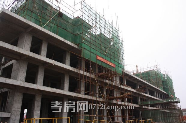 百佳宏业商城3月份项目进度