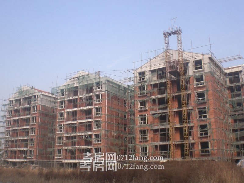 天运家园12月份项目进度