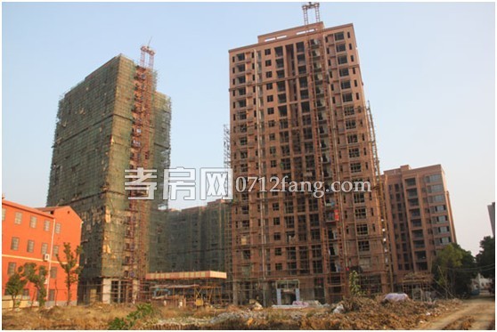 鴻景新城11月工程進度