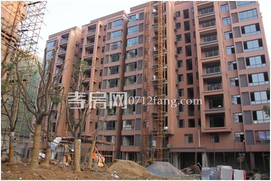 鴻景新城11月工程進度