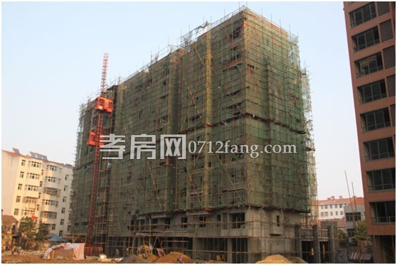 鴻景新城11月工程進度