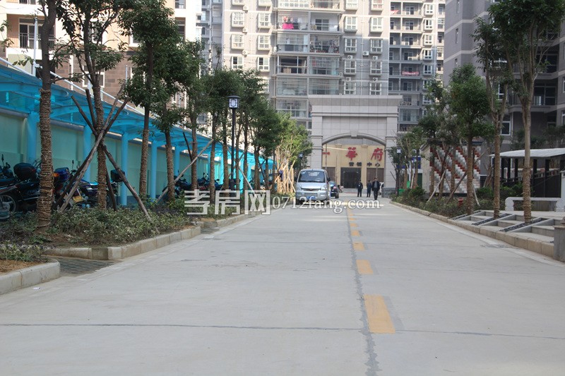 金一華府項目進(jìn)度 小區(qū)綠化已全部完工