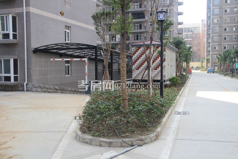 金一華府項目進(jìn)度 小區(qū)綠化已全部完工