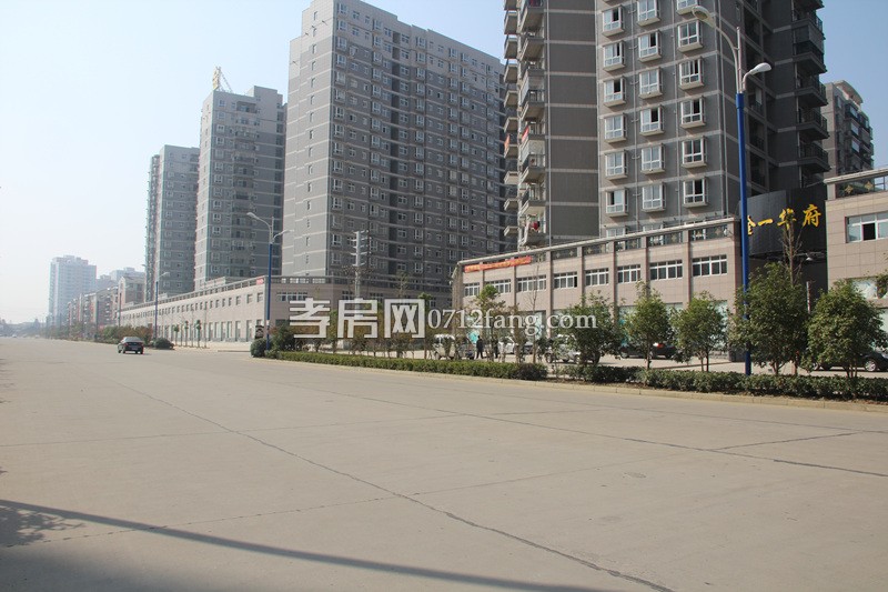 金一華府項目進(jìn)度 小區(qū)綠化已全部完工