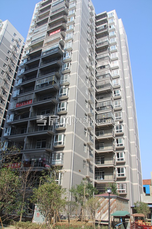 金一華府項目進(jìn)度 小區(qū)綠化已全部完工