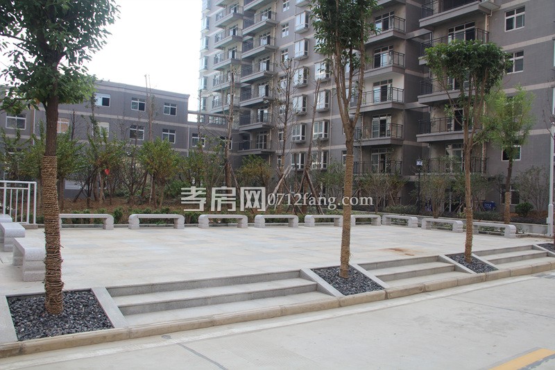 金一華府項目進(jìn)度 小區(qū)綠化已全部完工