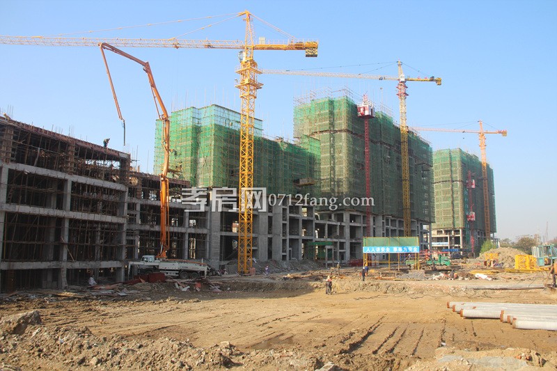 柳岸春城項(xiàng)目進(jìn)度 9號(hào)樓下月可封頂