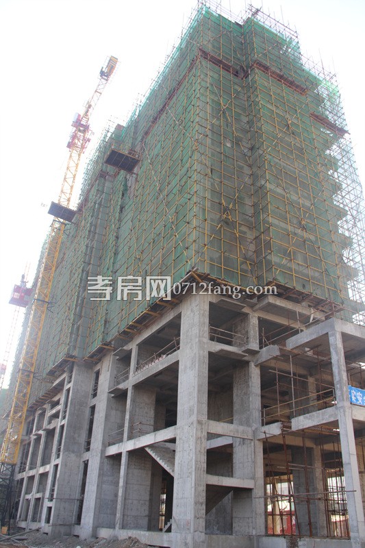 柳岸春城項(xiàng)目進(jìn)度 9號(hào)樓下月可封頂