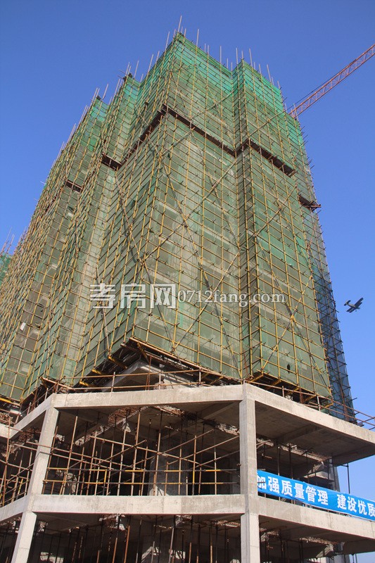 柳岸春城項(xiàng)目進(jìn)度 9號(hào)樓下月可封頂