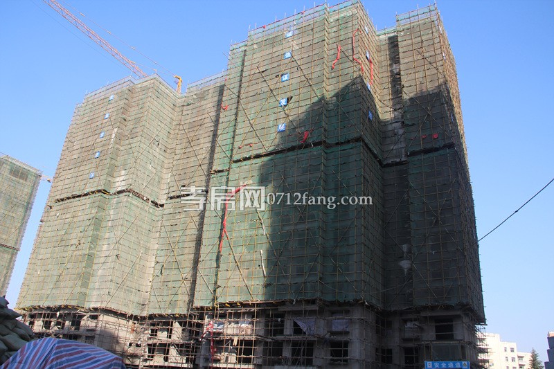 柳岸春城項(xiàng)目進(jìn)度 9號(hào)樓下月可封頂