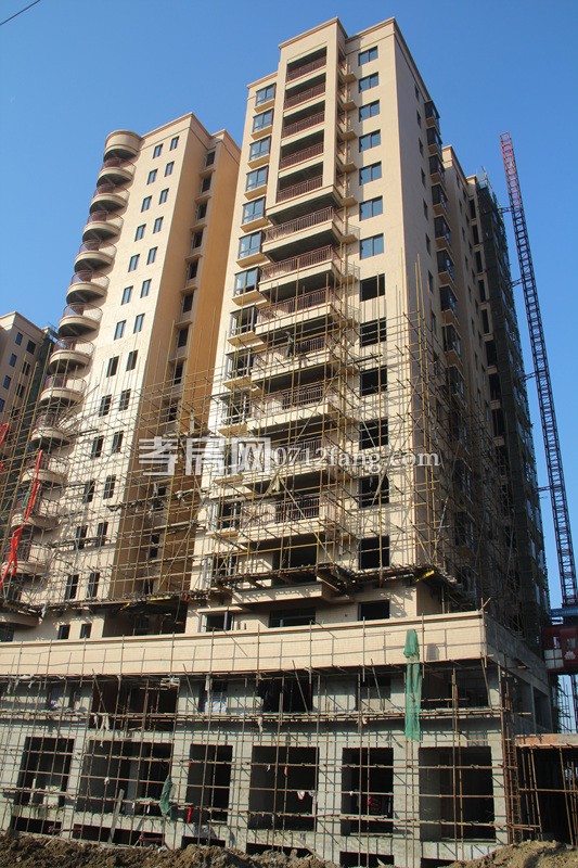 柳岸春城項(xiàng)目進(jìn)度 9號(hào)樓下月可封頂