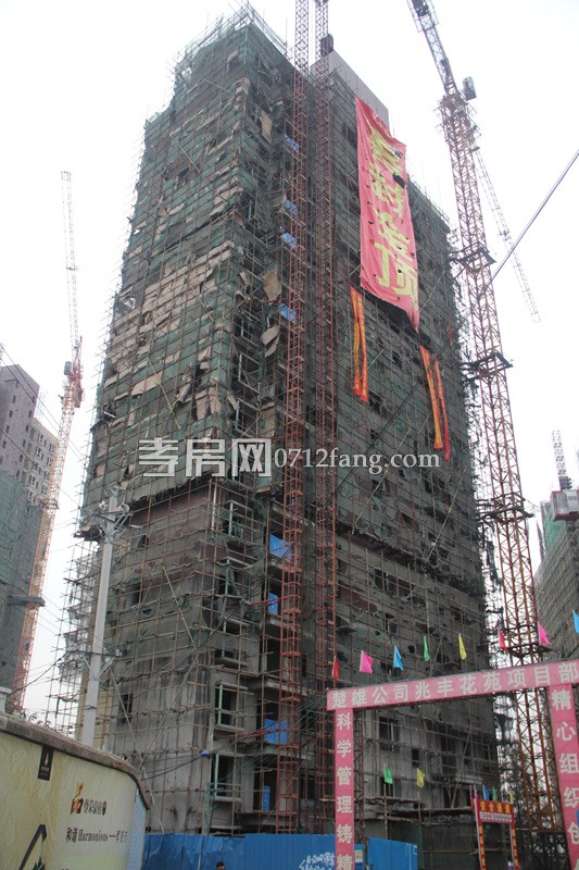 兆豐花苑項(xiàng)目進(jìn)度 1號樓正傾情加推