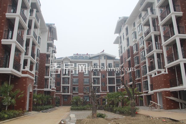 巴黎印象二季工程進(jìn)度 19號樓已建到5層