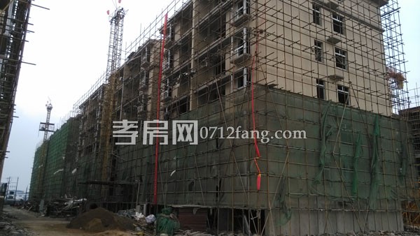 已經封頂的11號樓