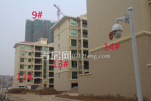 華隆佳盛新進度 12.28日共9棟樓交房