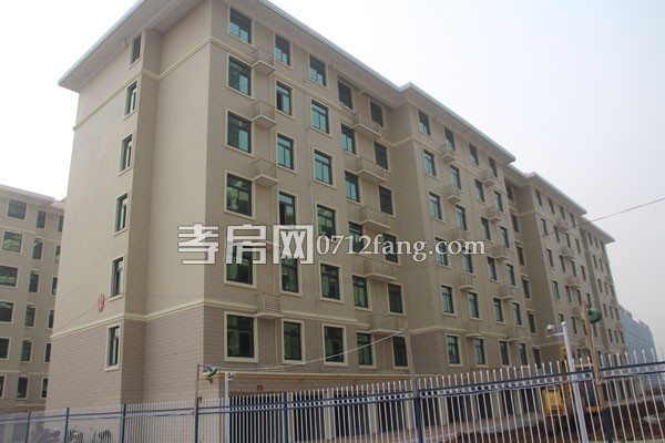 華隆佳盛新進度 12.28日共9棟樓交房