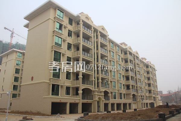 華隆佳盛新進度 12.28日共9棟樓交房