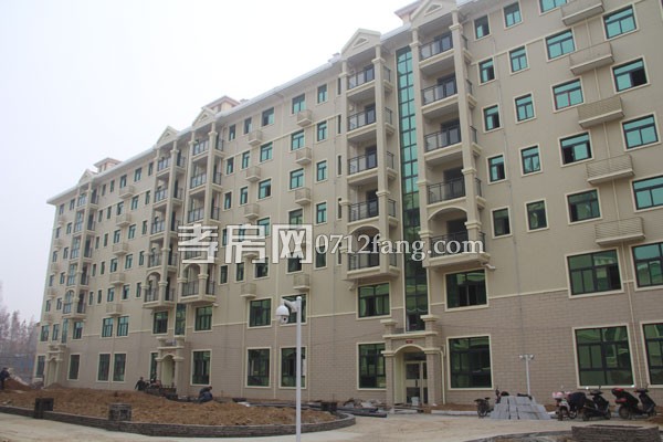 華隆佳盛新進度 12.28日共9棟樓交房