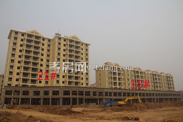 華隆佳盛新進度 12.28日共9棟樓交房