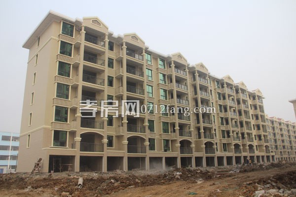 華隆佳盛新進度 12.28日共9棟樓交房