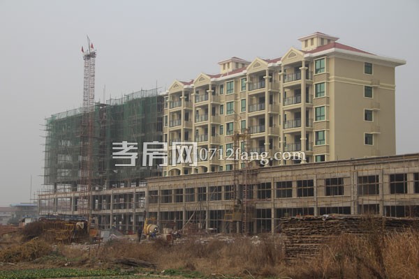 華隆佳盛新進度 12.28日共9棟樓交房