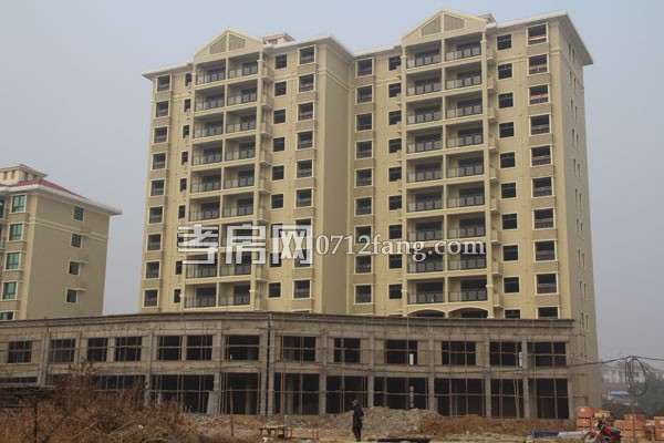 華隆佳盛新進度 12.28日共9棟樓交房