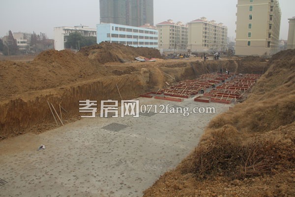 華隆佳盛新進度 12.28日共9棟樓交房