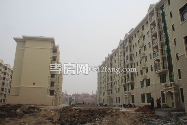 華隆佳盛新進度 12.28日共9棟樓交房