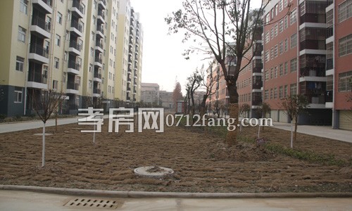 小高層旁邊的綠化植被