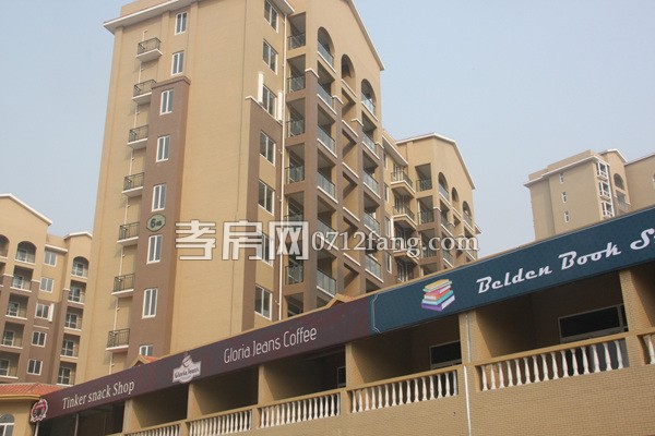 上善·融園天地1月進度 高層主體工程已完工